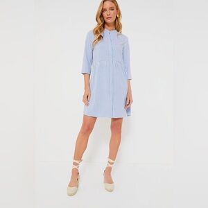 Tuckernuck Blue Stripe Royal Shirt Dress M
